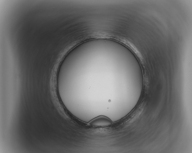 X0000102280433200808081505