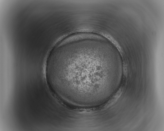 X0000102280434200808081505