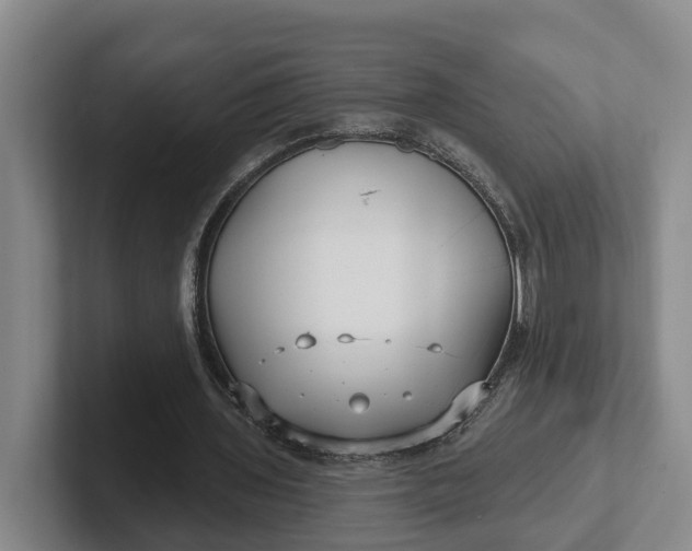 X0000102280435200808081505