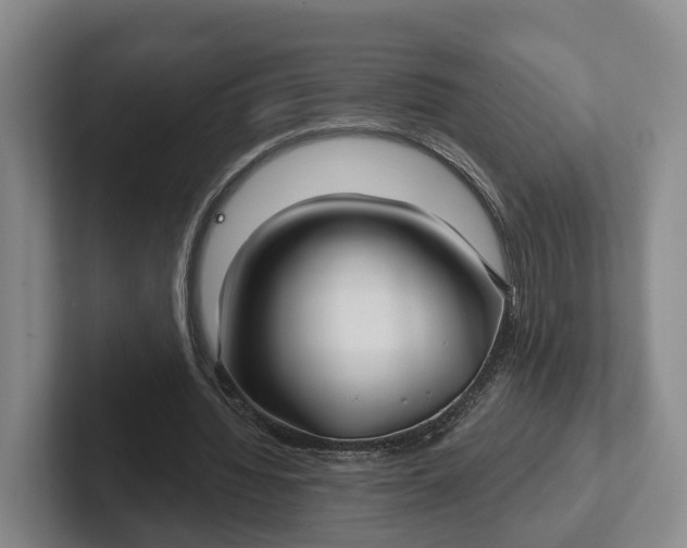 X0000102280436200808081505