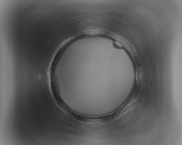 X0000102280438200808081505