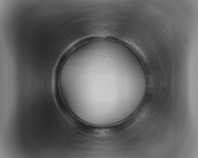 X0000102280440200808081505