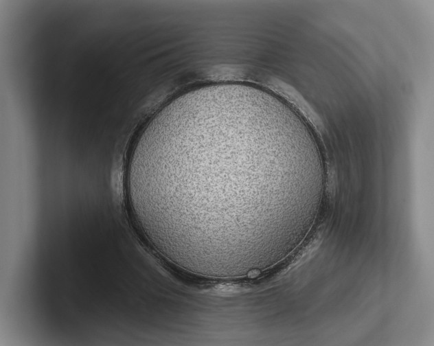 X0000102280441200808081505