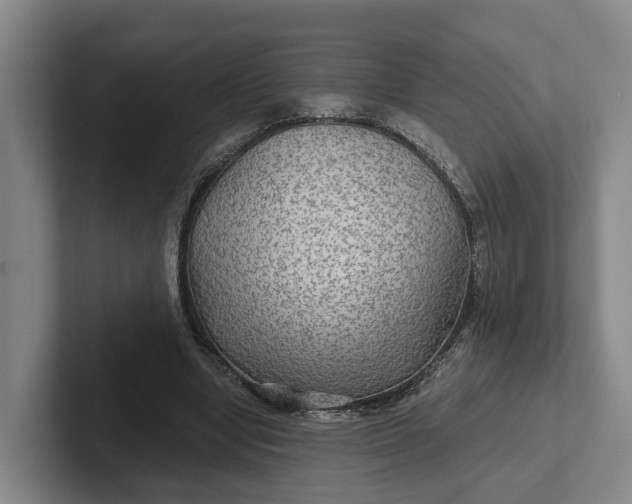 X0000102280442200808081505