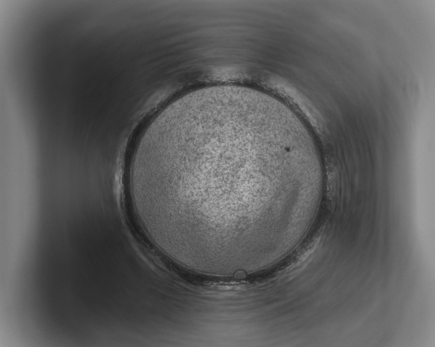 X0000102280443200808081505