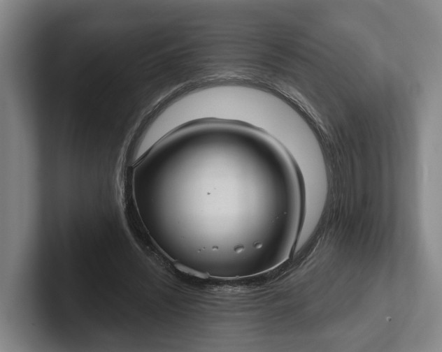 X0000102280444200808081505