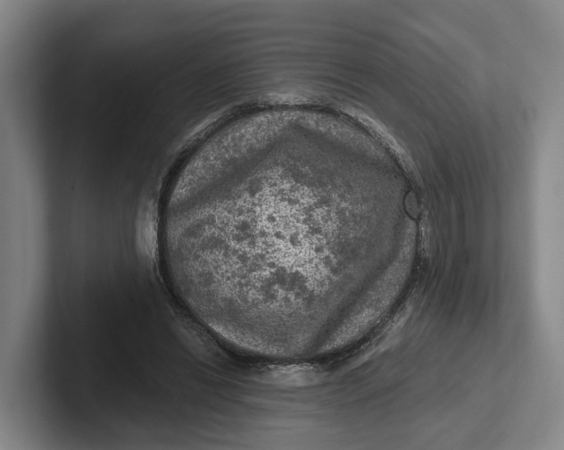 X0000102280446200808081505