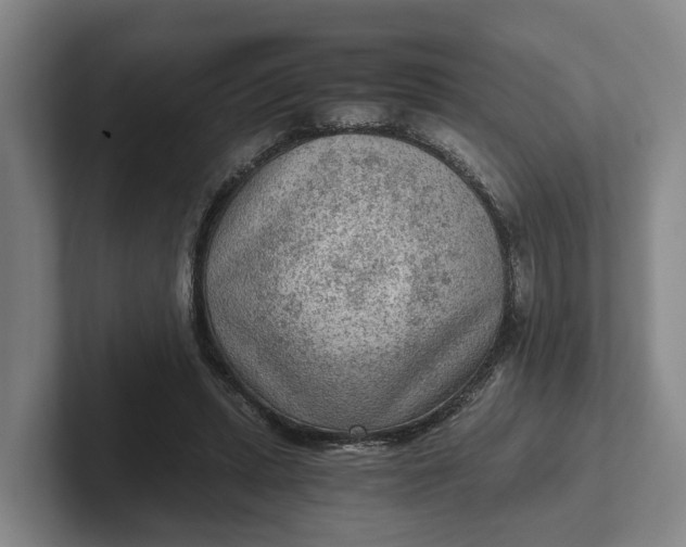 X0000102280447200808081505