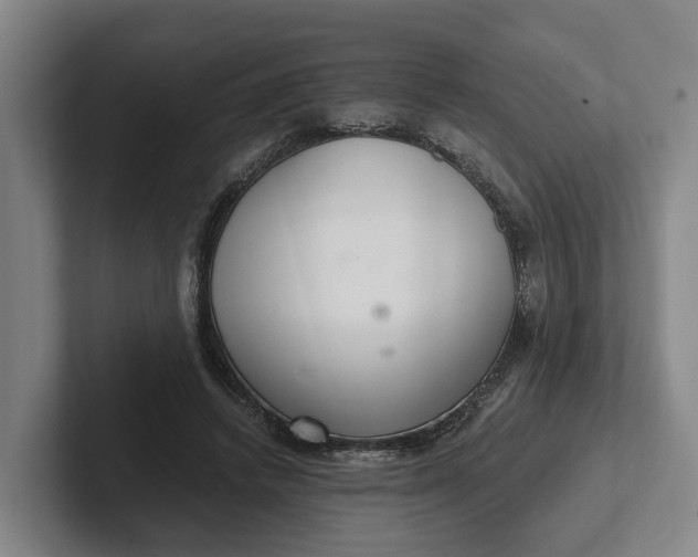 X0000102280448200808081505