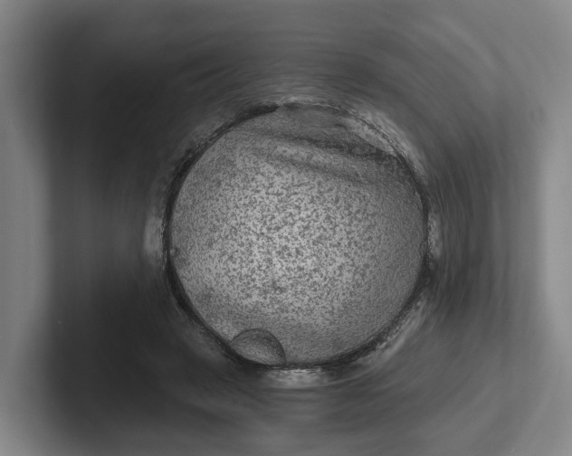 X0000102280449200808081505