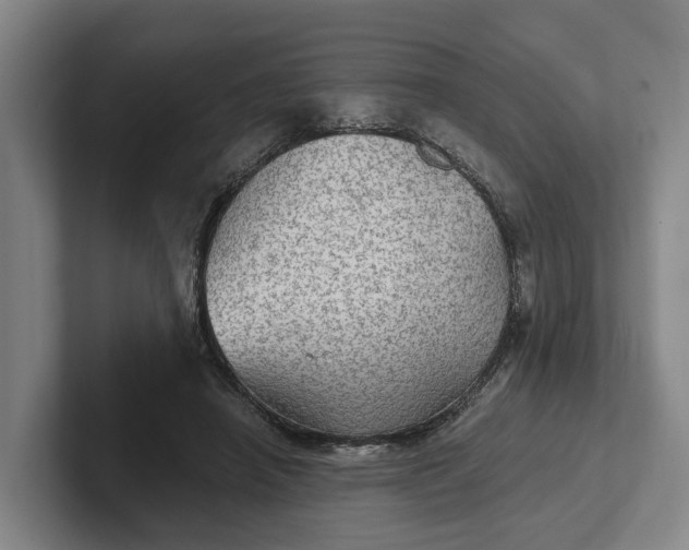 X0000102280450200808081505