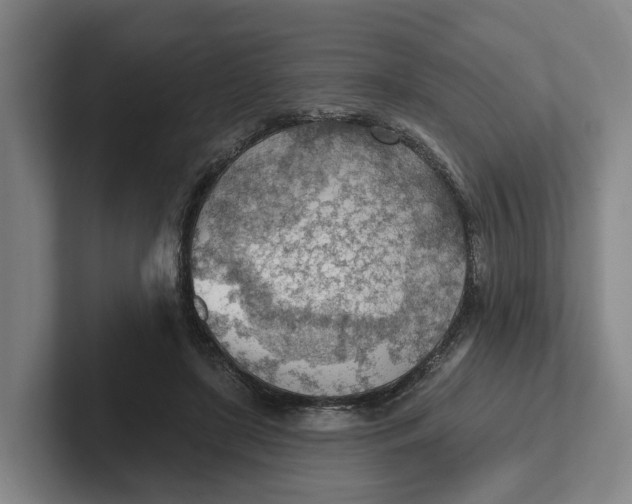 X0000102280451200808081505