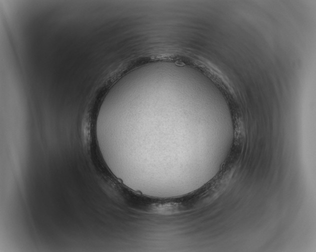 X0000102280452200808081505