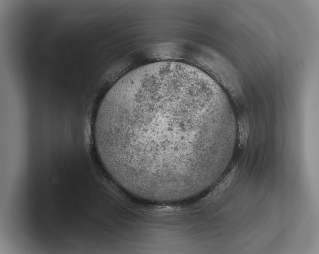 X0000102280453200808081505