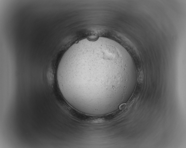 X0000102280456200808081506