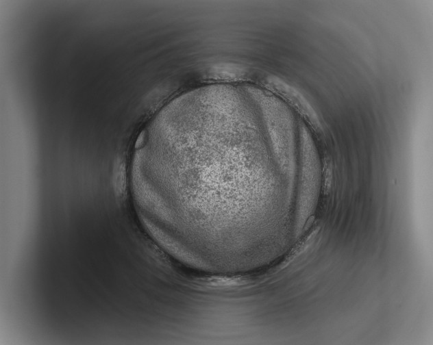 X0000102280457200808081506