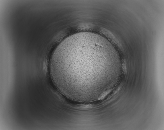 X0000102280458200808081506