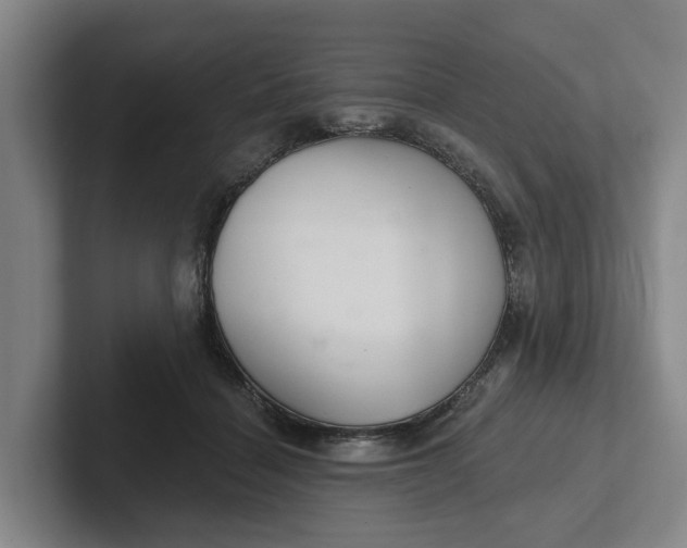 X0000102280460200808081506