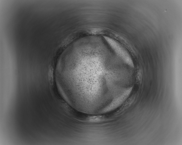 X0000102280461200808081506