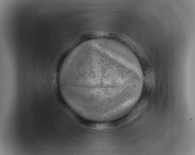 X0000102280462200808081506