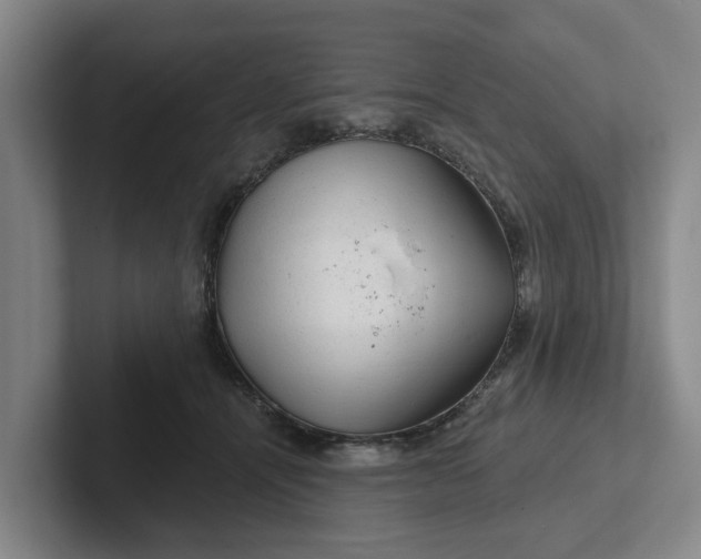 X0000102280464200808081506