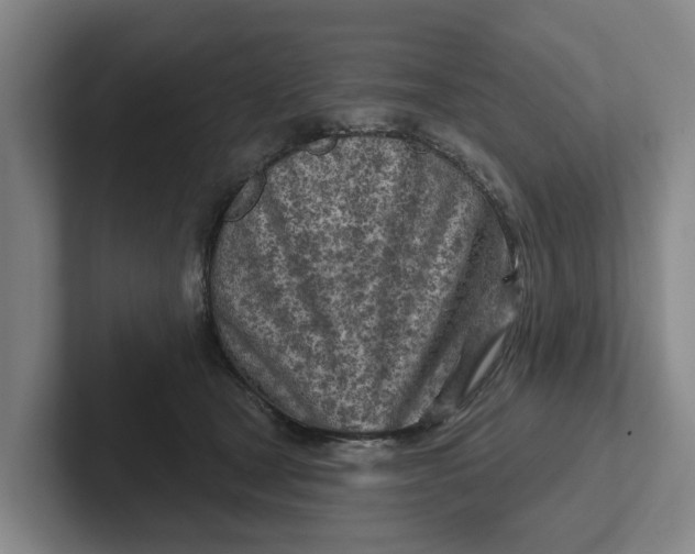 X0000102280465200808081506