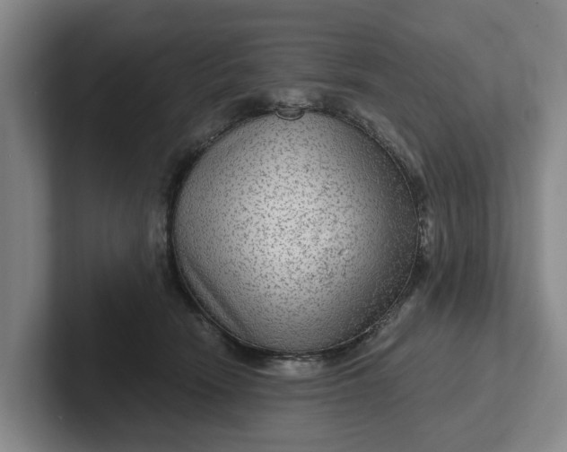 X0000102280466200808081506