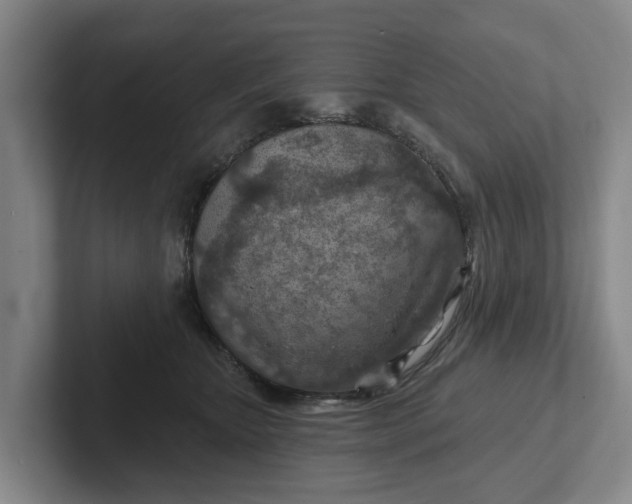 X0000102280467200808081506