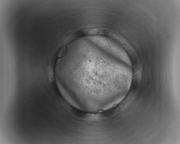 X0000102280469200808081506