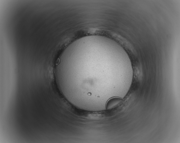 X0000102280470200808081506