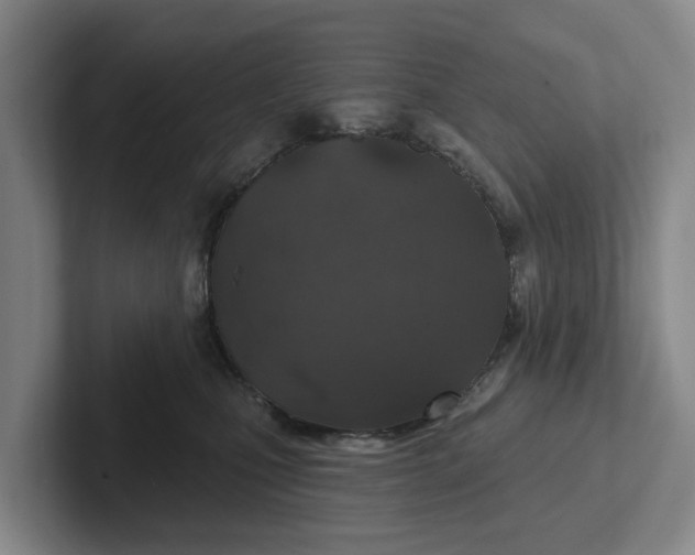 X0000102280471200808081506