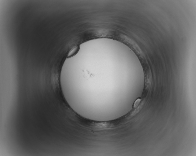 X0000102280473200808081506