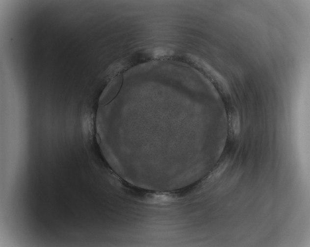 X0000102280475200808081506