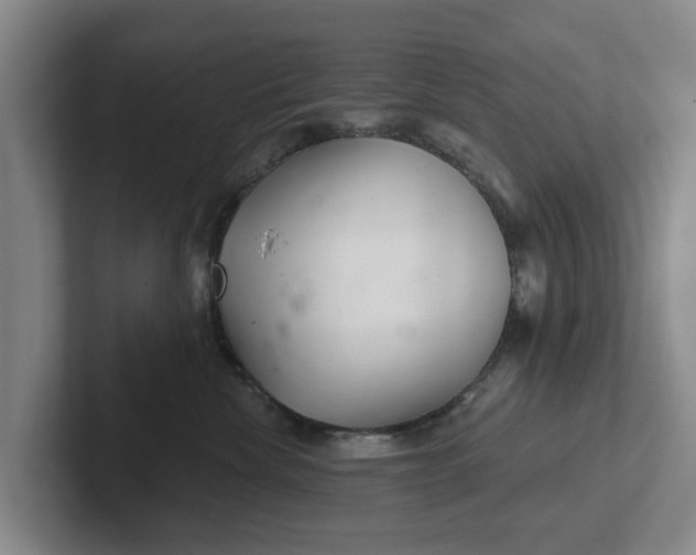 X0000102280476200808081506