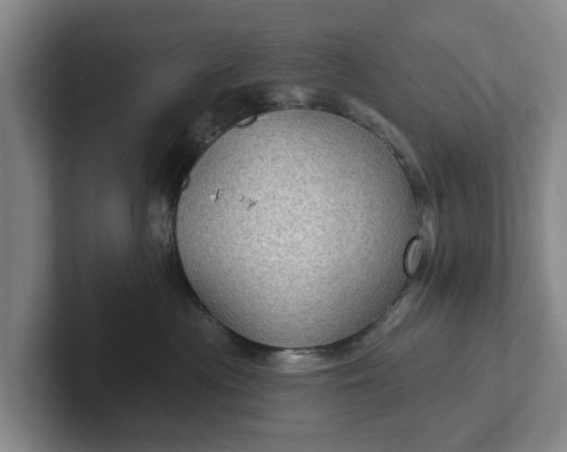 X0000102280477200808081506