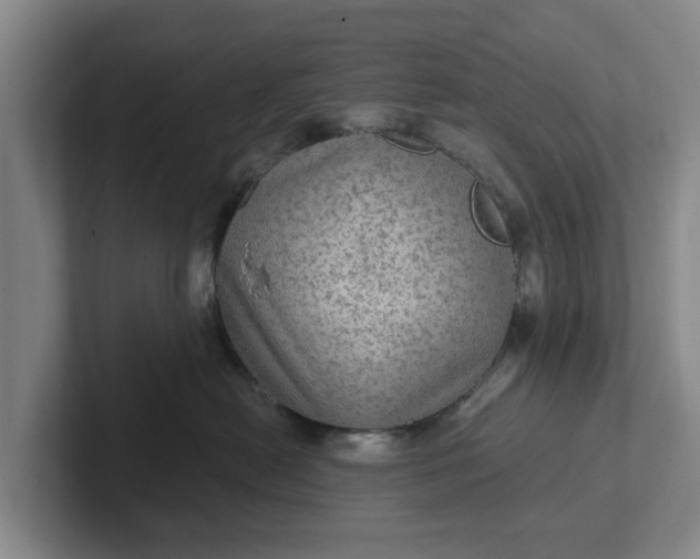 X0000102280478200808081506