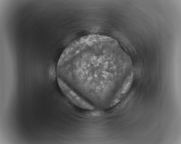 X0000102280479200808081506