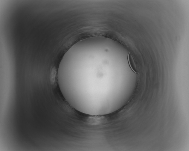 X0000102280480200808081506