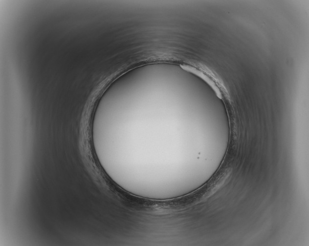 X0000102280481200808081505