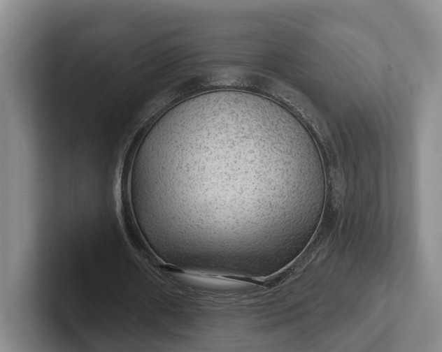 X0000102280482200808081505