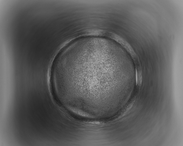 X0000102280483200808081505