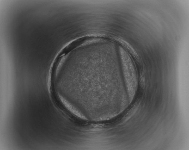 X0000102280484200808081505