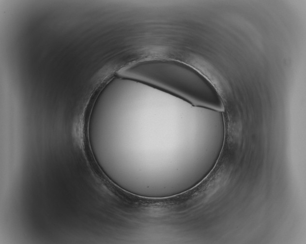 X0000102280485200808081505