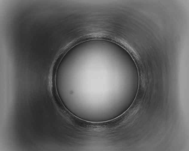 X0000102280486200808081505