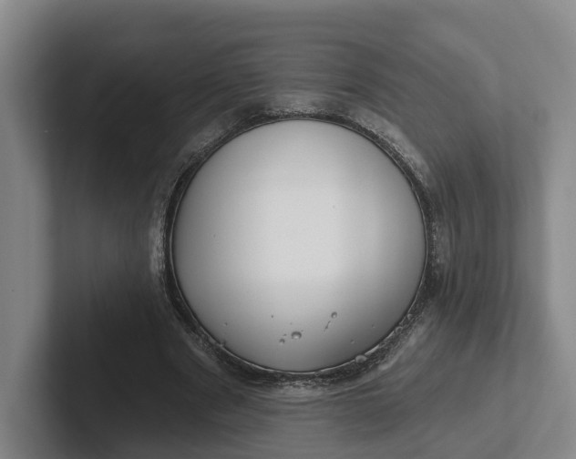 X0000102280489200808081505