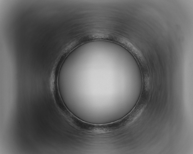 X0000102280490200808081505