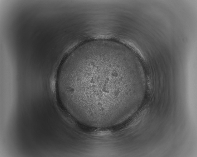 X0000102280491200808081505