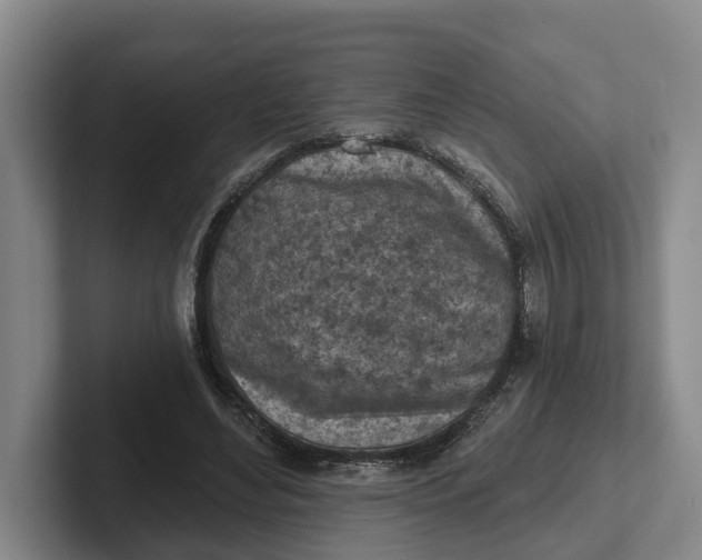 X0000102280492200808081505