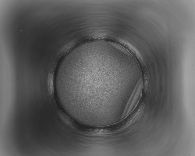 X0000102280493200808081505