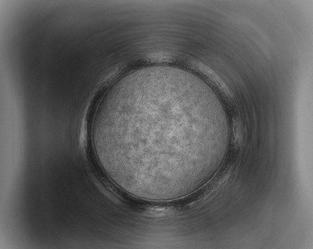 X0000102280494200808081505